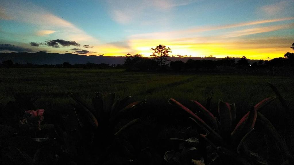Oui Kaew Homestay Phayao Exterior foto